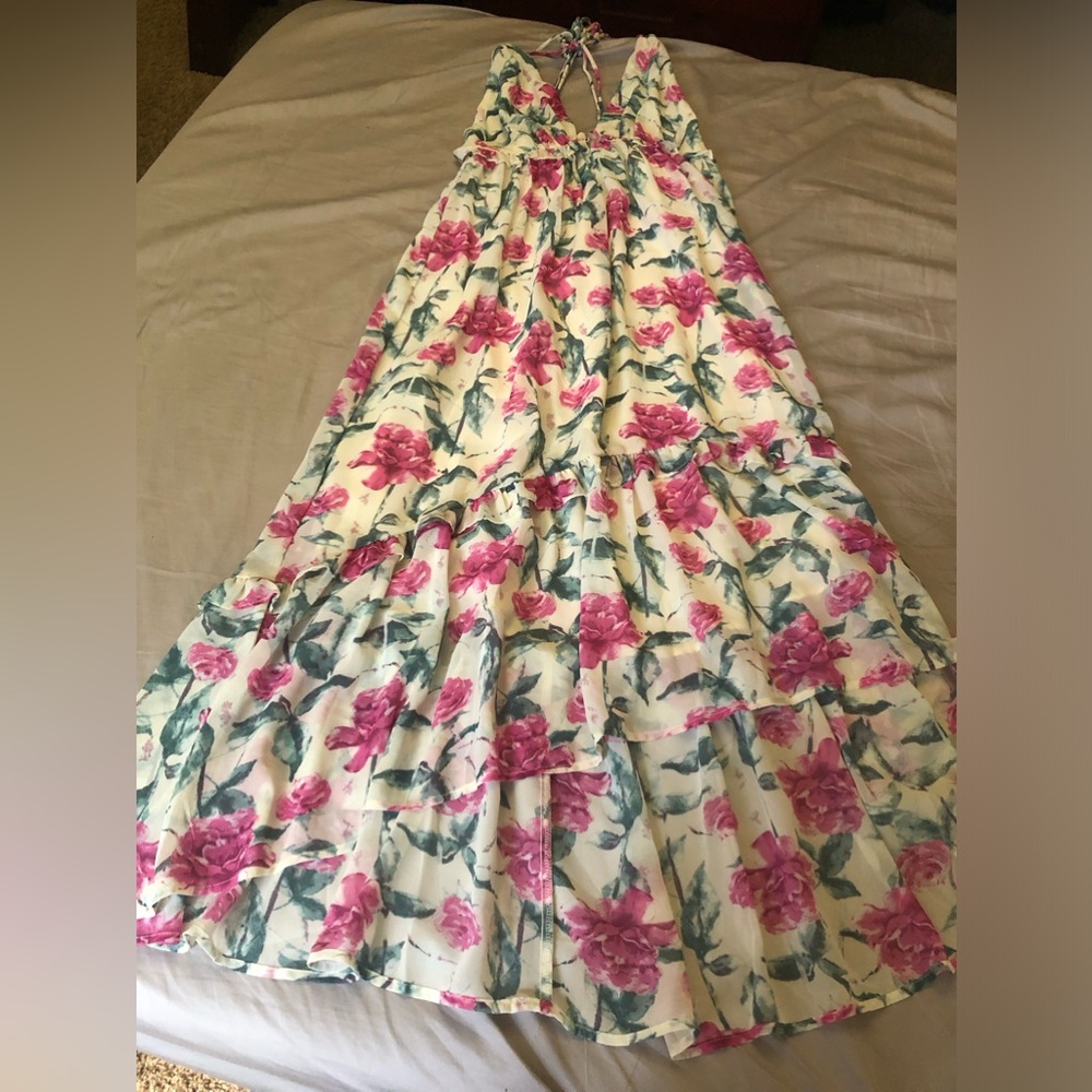 Beautiful floral dress, Saints + Secrets, worn only once.